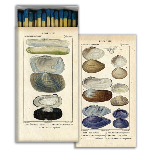 Matches - Seashell Specimens