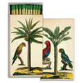 Matches - Palm & Parrot - Green - Matches by Carlyle Avenue