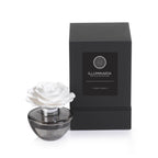 Illuminaria Porcelain Diffuser in Gray Bottle - REFILL - Set of 6 - Diffusers by Carlyle Avenue