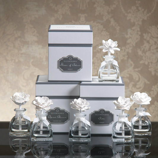 Illuminaria Mini Porcelain Diffuser - Diffusers by Carlyle Avenue