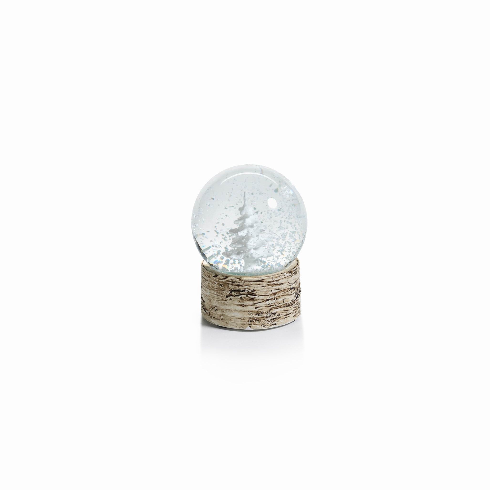 Snow Globe on Birch with Tree - Snow Globes by Carlyle Avenue