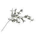 Olive and Berry Pick - Christmas Decor by Carlyle Avenue