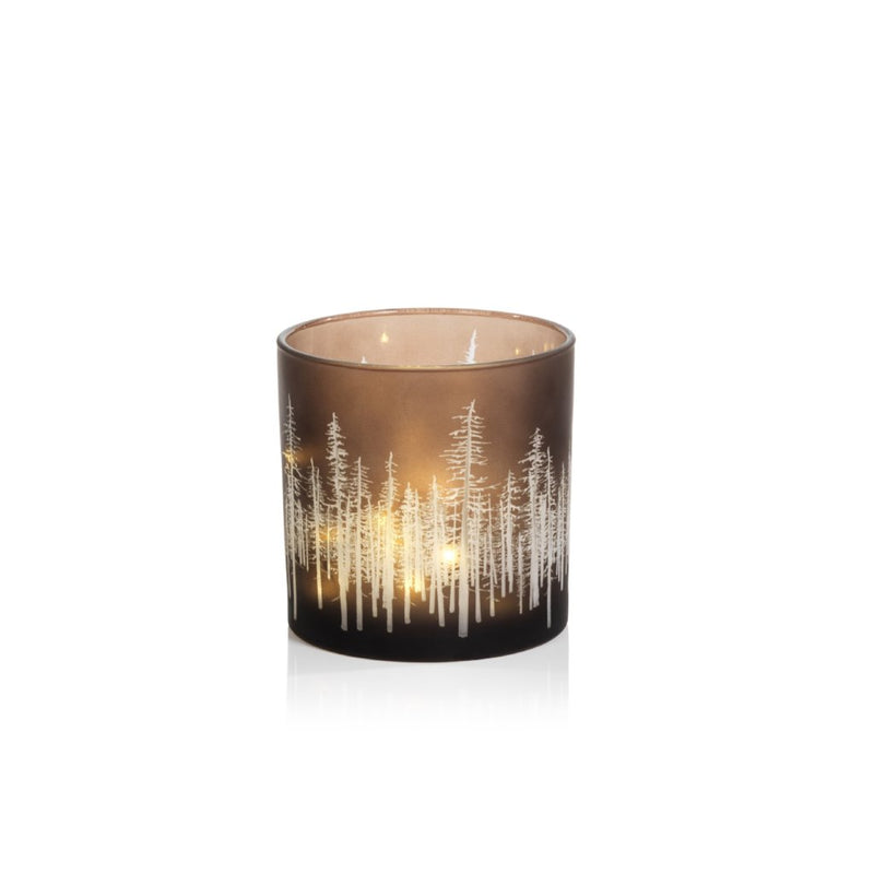Birch Etched LED Hurricane, Set of 2 - Hurricane by Carlyle Avenue