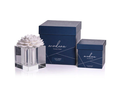 Modena Large Flower Diffuser Set - Diffusers by Carlyle Avenue