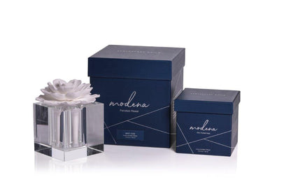 Modena Large Flower Diffuser Set - Diffusers by Carlyle Avenue