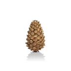 Golden Decorative Pine Cone - Christmas Decor by Carlyle Avenue