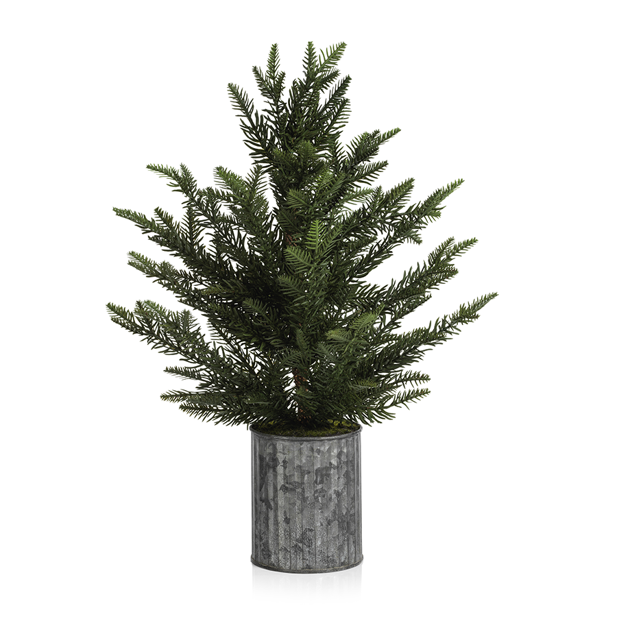 Pine Tree in Galvanized Pot