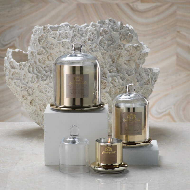 Apothecary Guild Domed Candle - Golden Beach - Candles by Carlyle Avenue