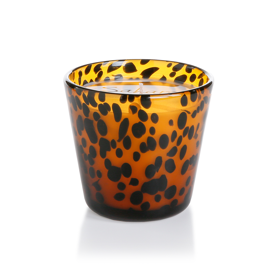 Sahara Tortoise Candle Jar