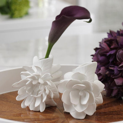 Cameo Vases - Set of 4 - Vases by Carlyle Avenue