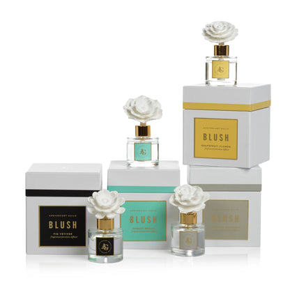 Blush Porcelain Diffuser - Diffusers by Carlyle Avenue