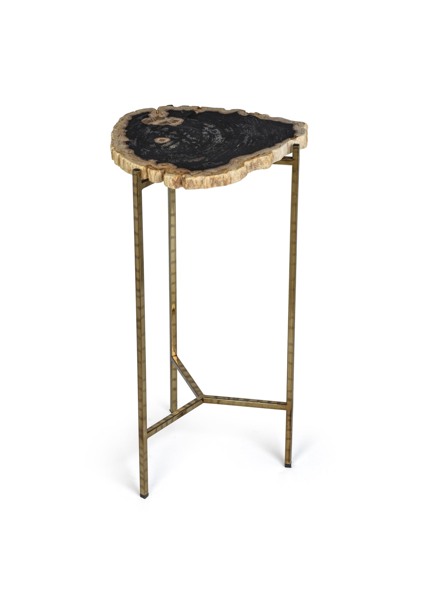 Petrified Wood Side Table - Furniture by Carlyle Avenue