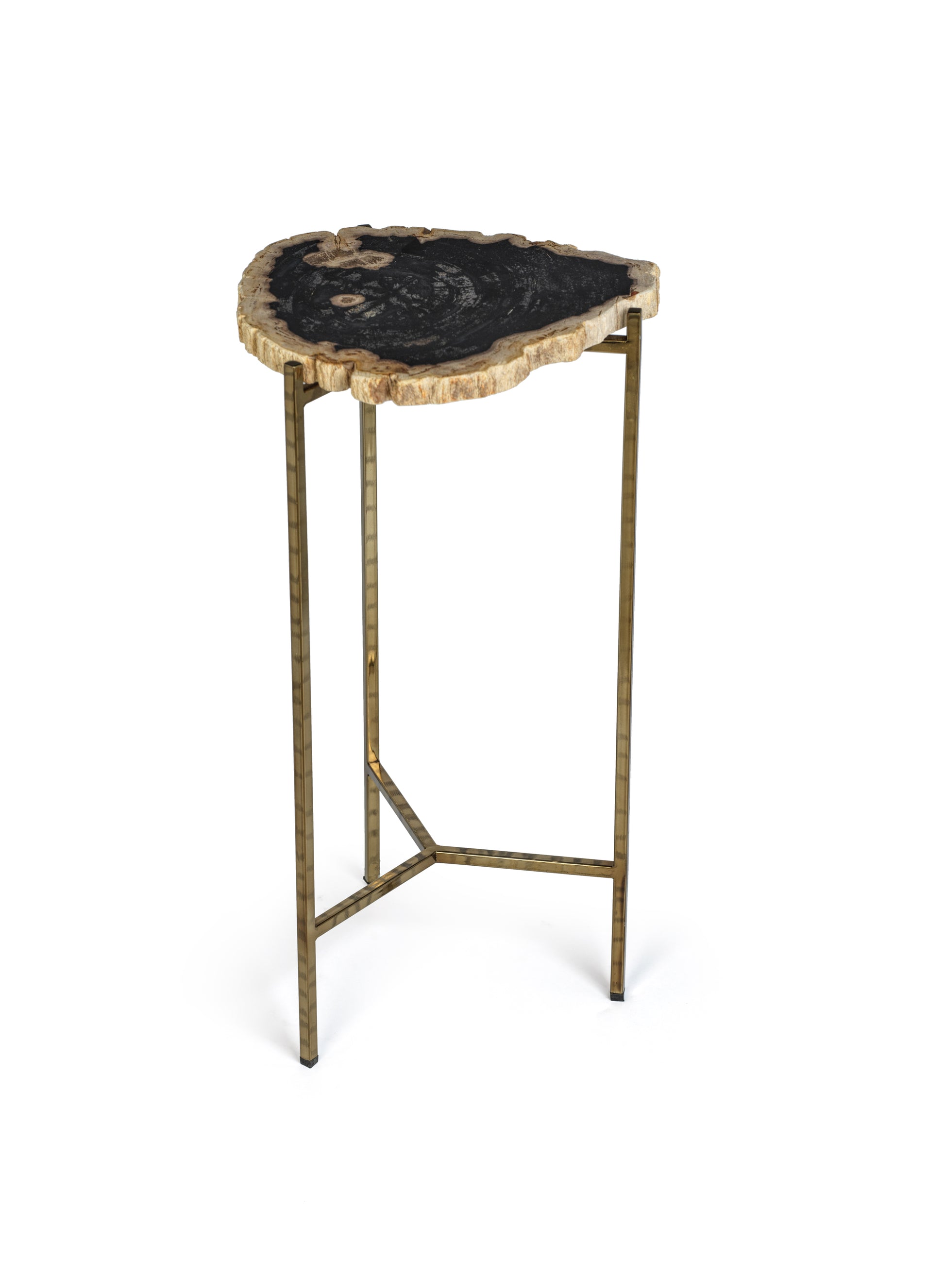 Petrified Wood Side Table - Furniture by Carlyle Avenue