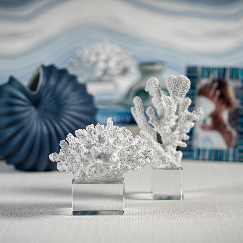 White Coral on Acrylic Base - Decorative Accessories by Carlyle Avenue