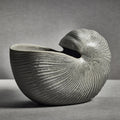 Marine Stoneware Glazed Nautilus Shell Vase - Vases by Carlyle Avenue
