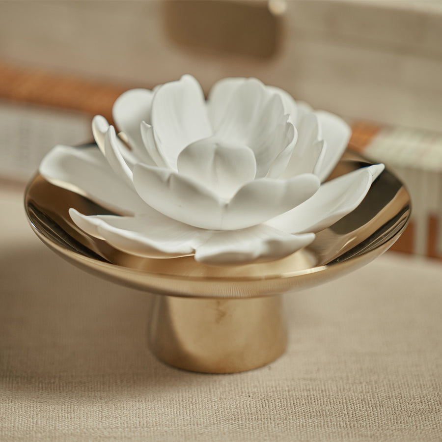 Apothecary Guild Inspire Porcelain Diffuser - Diffusers by Carlyle Avenue