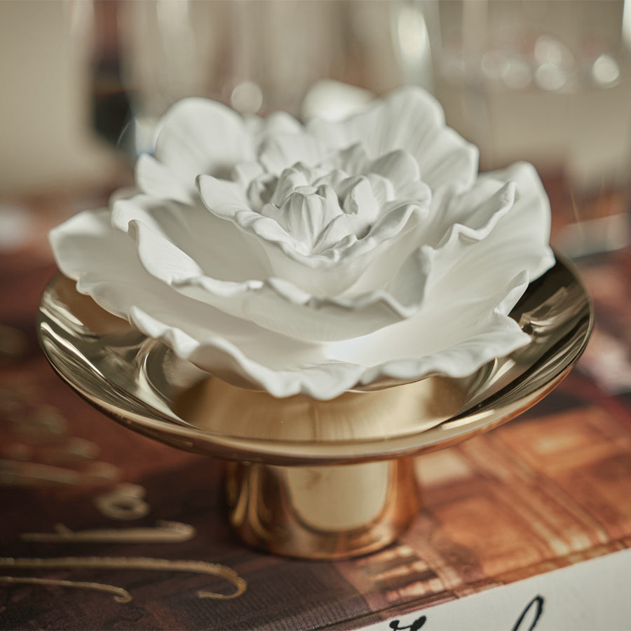 Apothecary Guild Inspire Porcelain Diffuser - Diffusers by Carlyle Avenue