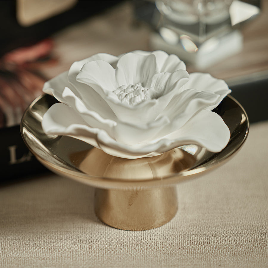 Apothecary Guild Inspire Porcelain Diffuser - Diffusers by Carlyle Avenue