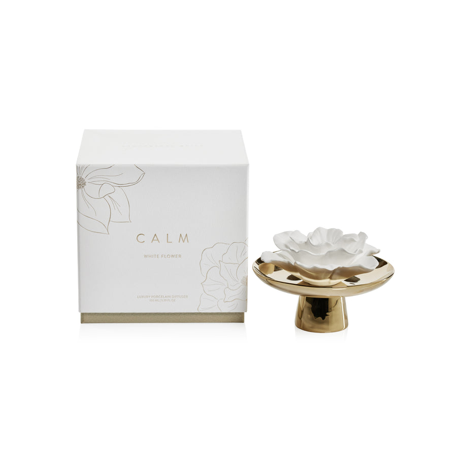 Apothecary Guild Inspire Porcelain Diffuser - Diffusers by Carlyle Avenue
