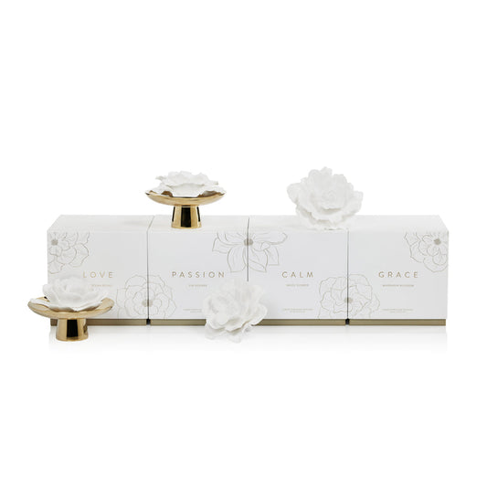 Apothecary Guild Inspire Porcelain Diffuser - Diffusers by Carlyle Avenue