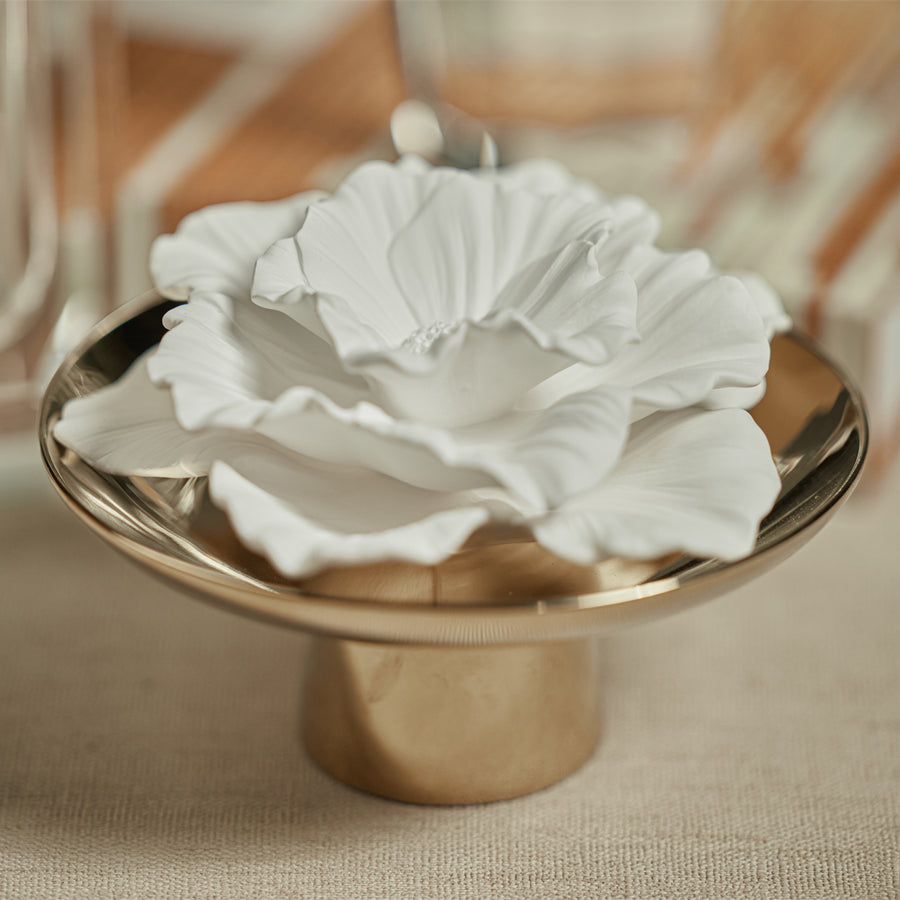 Apothecary Guild Inspire Porcelain Diffuser - Diffusers by Carlyle Avenue