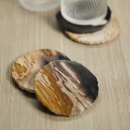Curio Bay Petrified Wood Coaster - Set of 4 - Coasters by Carlyle Avenue