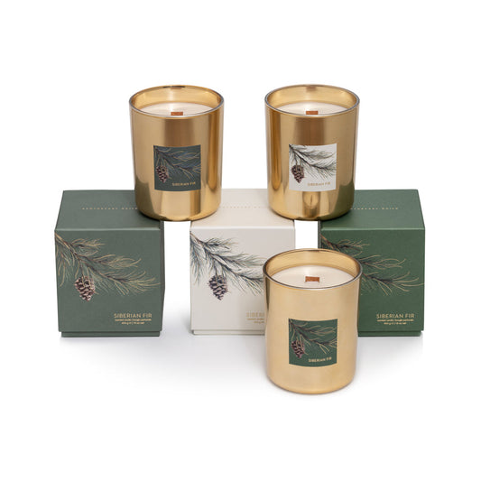 Gold Wood Wick Candle in Gift Box - Siberian Fir - Candles by Carlyle Avenue