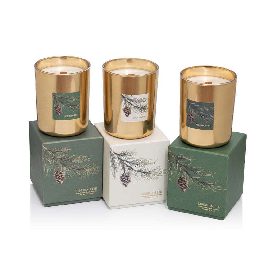 Gold Wood Wick Candle in Gift Box - Siberian Fir - Candles by Carlyle Avenue