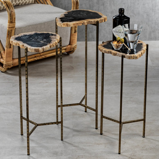 Petrified Wood Side Table - Furniture by Carlyle Avenue