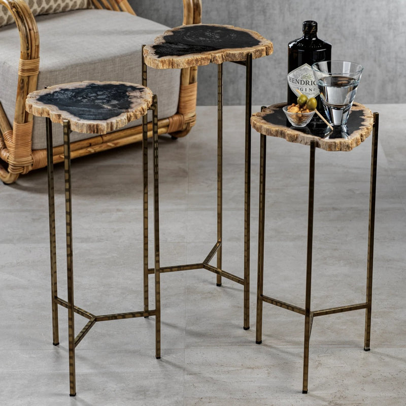 Petrified Wood Side Table - Furniture by Carlyle Avenue