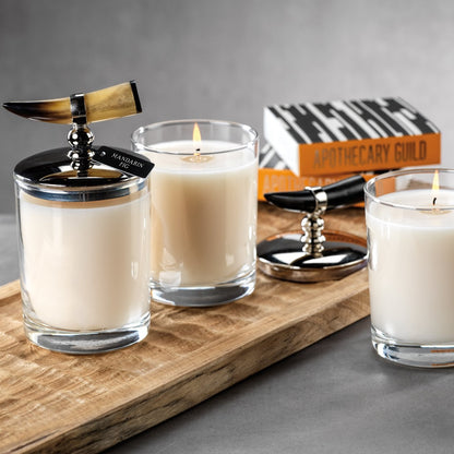 Candle Jar with Horn Lid - 5 Fragrances - Candles by Carlyle Avenue