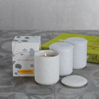Seychelles Fragranced Candle - Diffusers by Carlyle Avenue