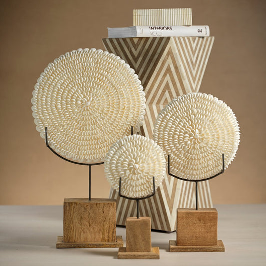 Natural Clamrose Sea Shells on Wood Stand - Decorative Accessories by Carlyle Avenue