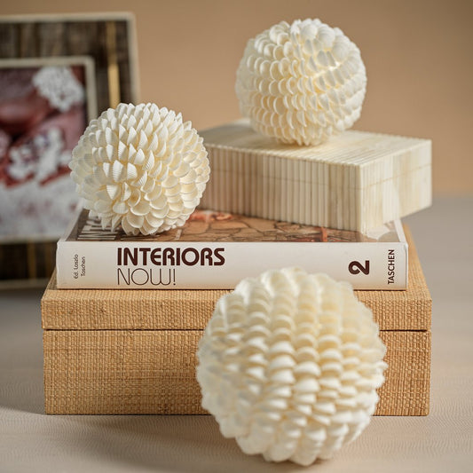 Natural Clamrose Seashell Fill Ball - Decorative Accessories by Carlyle Avenue