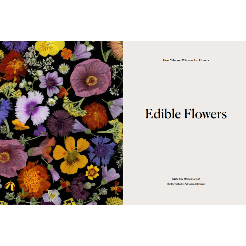 Edible Flowers: How, Why, and When We Eat Flowers