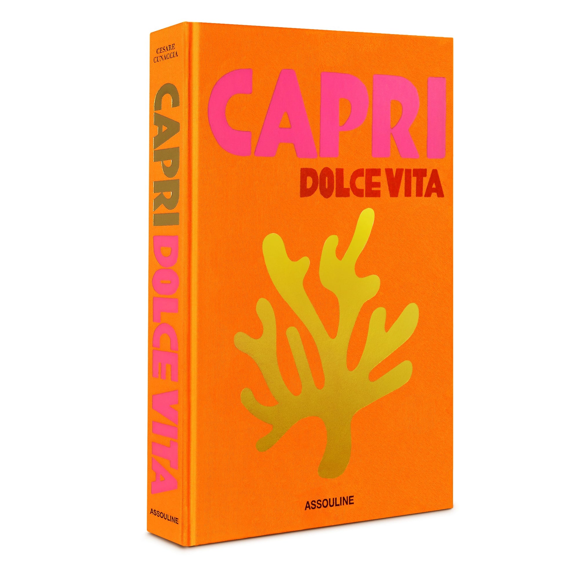 Capri Dolce Vita - Books by Carlyle Avenue